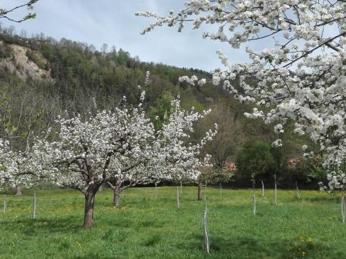 Buchhof trotzt Corona Virus Krise (6)